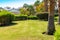 Trimmed green hedge and lawn. Paradise with lush tropical greenery and resort architecture. Sunny lawn over blue sky with copy