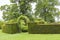 Trimmed hedge wall with archway to topiary inner garden