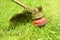 Trimmer close up mow the grass with a lawnmower. Gardening with a brush cutter Close-up. Lawn care with brush cutters