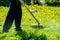 Trimming dandelions and other weeds in the yard