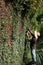 Trimming Large Hedge Wall