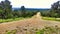 A Trinidad Colorado Mountaintop Road