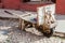 TRINIDAD, CUBA - FEB 8, 2016: Wheelbarrow with inscription Taxi Luis in the center of Trinidad, Cub