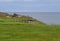 Trinity Bay coastline landscape, Bonavista Peninsula