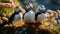 Trio of Atlantic Puffins on a Mossy Cliffside. Generative AI
