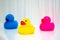 Trio of colorful and bright plastic rubber ducks seen in profile