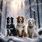 a trio of dogs posing with a snowy forest as the backdrop trending on artstation sharp focus