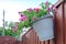 Trio of freshly planted hanging baskets seen attached to the top of a boundary fence.