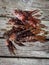 Trio of invasive lionfish (Pterois volitans) speared on the dock in the Carribbean, Roatan, Bay Islands