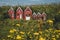 Trio of little red elf houses Hulduf lk with turf roofs in Iceland. Green grass with yellow flowers.