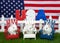 Trio of patriotic backyard bunnies