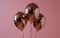 a trio of shiny balloons on a pink background,