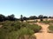 Trip on camels near Agadir in Morocco