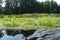 A trip down the river in the woods in the summer. Beautiful greenery, forest and water.