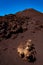 a trip to the Etna volcano