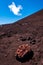 a trip to the Etna volcano