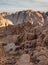 A trip to Sinai nature