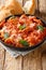 Tripe in tomato sauce with Pecorino cheese, mint close-up in a plate. vertical