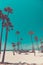 Tripical beach with palm trees. Holiday and vacation concept. California landscape