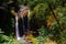 Triple Falls, located in Oregon`s Columbia River Gorge National Scenic Area