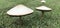 Triple mushroom threat