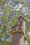 Triple Wooden Bird House In Trees