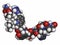 Triptorelin gonadotropin releasing hormone agonist drug molecule. Atoms are represented as spheres with conventional color coding