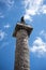 The Triumphal Column of Marcus Aurelius in Rome Italy