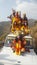 Trival cast in Uttrakhand pradesh trival cultur