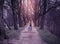 The trodden path in a mysterious mystical place and the tall old trees