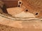 Troglodyte homes and underground caves of the Berbers in Sidi Driss, Matmata, Tunisia, Africa, on a clear day