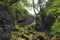 Trollers Gill, Skyreholme, Grassington, Yorkshire, Dales, North Yorkshire, UK