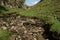 Trollers Gill, Skyreholme, Grassington, Yorkshire, Dales, North Yorkshire, UK