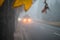 A trolley bus rides through the evening street in the twilight. The walking area and the road for cars are in dense fog. Traffic