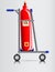 Trolley and a gas cylinder