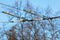 Trolleybus wires against the blue sky