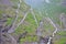 Trollstigen mountain road, Norway