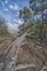 Troodos Forest vertical