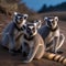 A troop of lemurs on a New Years Eve mission to catch the first shooting star of the year3