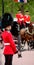 Trooping Of The Colour