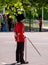 Trooping the Colour parade at Horse Guards, London UK, with soldier in iconic red and black uniform and bearskin