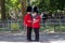 Trooping the Colour parade at Horse Guards, London UK, with soldiers in iconic red and black uniform and bearskin hats.