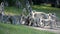 Troops of vervet monkeys fighting