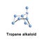 Tropane bicyclic alkaloid