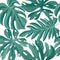 Tropcal palm leaves seamless pattern. Beautiful floral backgroun