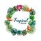 Tropcal plants and flowers frame. Geometric shape with exotic palm leaves.