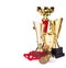 Trophies, cups, medals isolated on white. The trophy is a tangible and lasting reminder of a specific achievement, it serves as a