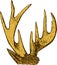Trophy of antlers .