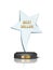 Trophy glass award in star shape, realistic modern cup prize with gold best seller text