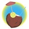 Tropic coconut coctail. vector illustration.